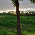 Tournesol Lägenhet *