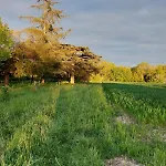 Tournesol Lägenhet