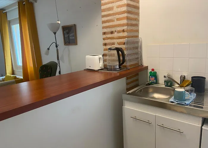 Tournesol شقة Layrac